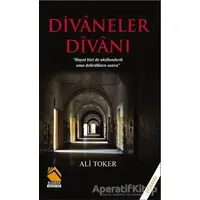 Divaneler Divanı - Ali Toker - Buhara Yayınları