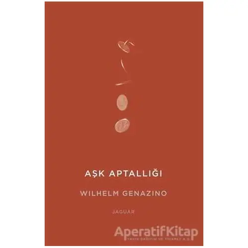 Aşk Aptallığı - Wilhelm Genazino - Jaguar Kitap