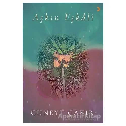 Aşkın Eşkali - Cüneyt Çakır - Cinius Yayınları