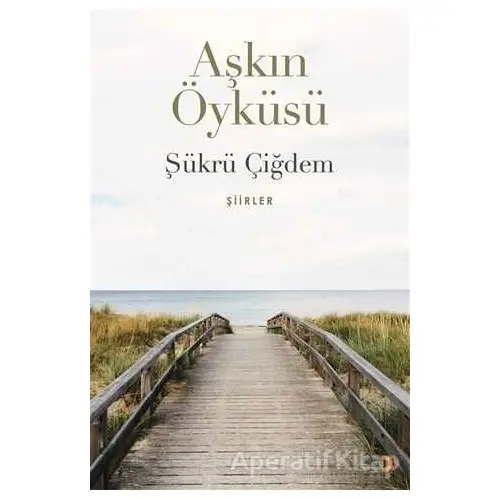 Aşkın Öyküsü - Şükrü Çiğdem - Cinius Yayınları