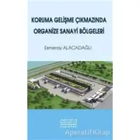 Koruma Gelişme Çıkmazında Organize Sanayi Bölgeleri - Esmeray Alacadağlı - Astana Yayınları
