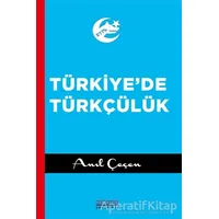 Türkiyede Türkçülük - Anıl Çeçen - Astana Yayınları