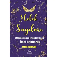 Melek Sayıları - Mark Johnson - Sarmal Kitabevi