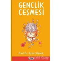 Gençlik Çeşmesi - Aydın Özbek - Ozan Yayıncılık