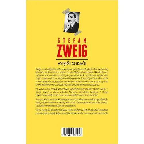 Ayışığı Sokağı - Stefan Zweig - Aperatif Kitap Yayınları