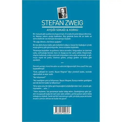 Ayışığı Sokağı ve Korku - Stefan Zweig - Maviçatı Yayınları