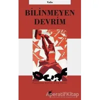 Bilinmeyen Devrim - Volin - Ayrıntı Yayınları