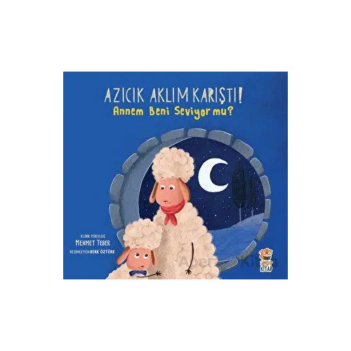 Azıcık Aklım Karıştı - Annem Beni Seviyor Mu - Mehmet Teber - Sincap Kitap