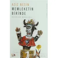 Memleketin Birinde - Aziz Nesin - Nesin Yayınevi