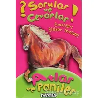 Sorular ve Cevaplar - Atlar ve Poniler - Kolektif - Çiçek Yayıncılık
