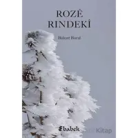 Roze Rındeki - Bülent Boral - Babek Yayınları