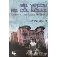 Bir Yerde Bir Gül Ağlar - Emine Erdem - Belge Yayınları