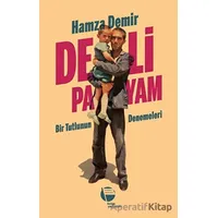 Deli Payam - Hamza Demir - Belge Yayınları