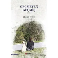 Geçmeyen Geçmiş - Binnur Tüzün - Bengü Yayınları