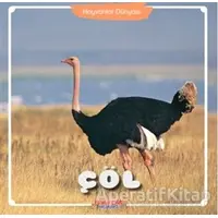 Çöl - Hayvanlar Dünyası - Kolektif - Yumurcak Yayınları