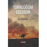 Türklüğüm Ebedidir - Umut Erdoğan - Berikan Yayınevi