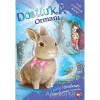 Dostluk Ormanı-1 / Loli Uzunbıyık Kayıp! - Daisy Meadows - Beyaz Balina Yayınları