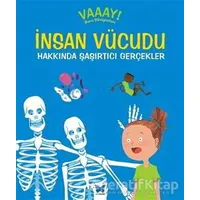 İnsan Vücudu Hakkında Şaşırtıcı Gerçekler - Patricia Macnair - Mavi Kelebek Yayınları