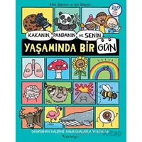 Kakanın, Pandanın ve Senin Yaşamında Bir Gün - Mike Barfield - Domingo Yayınevi