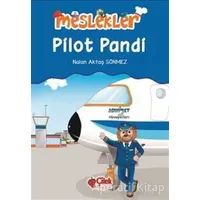 Pilot Pandi - Nalan Aktaş Sönmez - Çilek Kitaplar