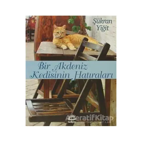 Bir Akdeniz Kedisinin Hatıraları - Şükran Yiğit - İletişim Yayınevi