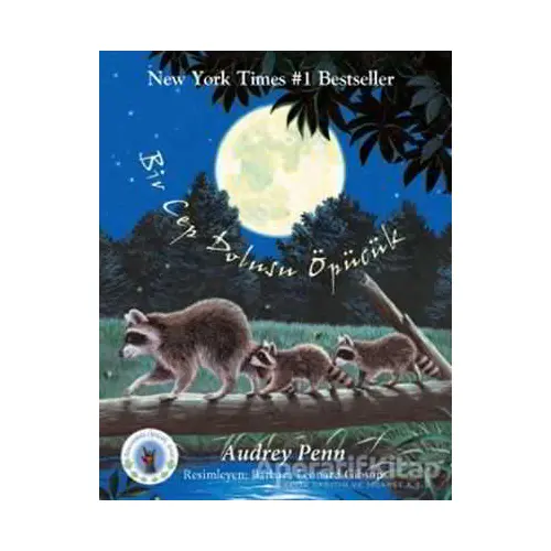 Bir Cep Dolusu Öpücük - Audrey Penn - Butik Yayınları
