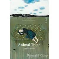 Animal Triste - Monika Maron - Alef Yayınevi