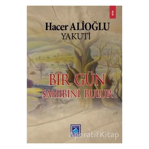 Bir Gün Sahibini Bulur - Hacer Alioğlu - Göl Yayıncılık