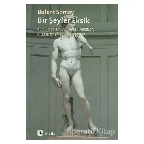 Bir Şeyler Eksik - Bülent Somay - Metis Yayınları