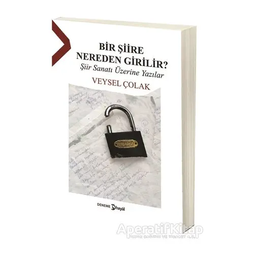 Bir Şiire Nereden Girilir? - Veysel Çolak - Hayal Yayınları