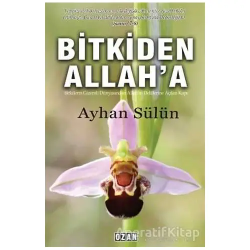 Bitkiden Allaha - Ayhan Sülün - Ozan Yayıncılık