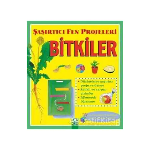 Bitkiler - Şaşırtıcı Fen Projeleri - Sally Hewitt - Altın Kitaplar