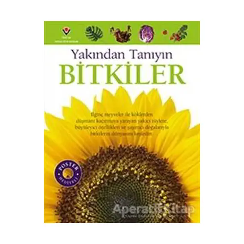 Bitkiler - Yakından Tanıyın - David Burnie - TÜBİTAK Yayınları