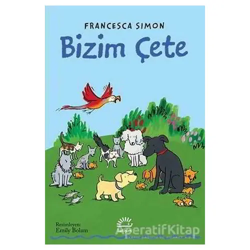 Bizim Çete - Francesca Simon - İletişim Yayınevi