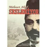 Mehmet Akif Sesleniyor - Kolektif - Boğaziçi Yayınları