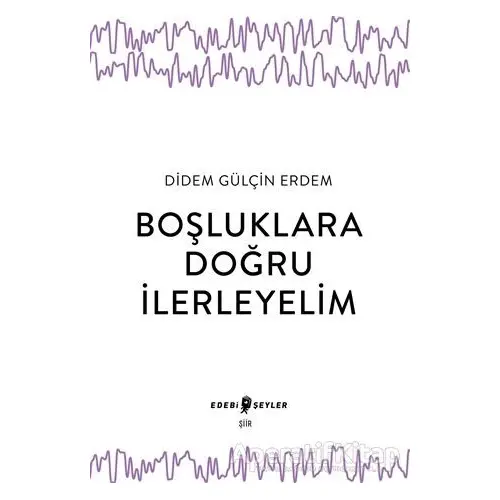 Boşluklara Doğru İlerleyelim - Didem Gülçin Erdem - Edebi Şeyler