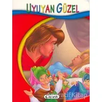 Uyuyan Güzel - Minik Kitaplar Dizisi - Kolektif - Çiçek Yayıncılık