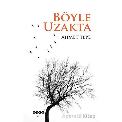 Böyle Uzakta - Ahmet Tepe - Hece Yayınları