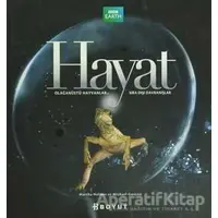 Hayat - Martha Holmes - Boyut Yayın Grubu