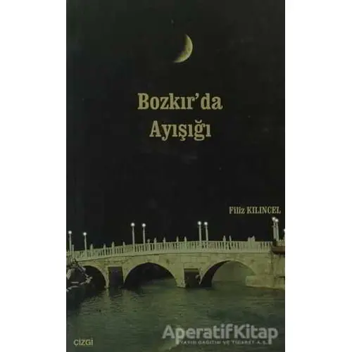 Bozkır’da Ayışığı - Filiz Kılıncel - Çizgi Kitabevi Yayınları