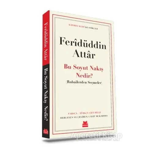 Bu Soyut Nakış Nedir? - Feridüddin Attar - Kırmızı Kedi Yayınevi