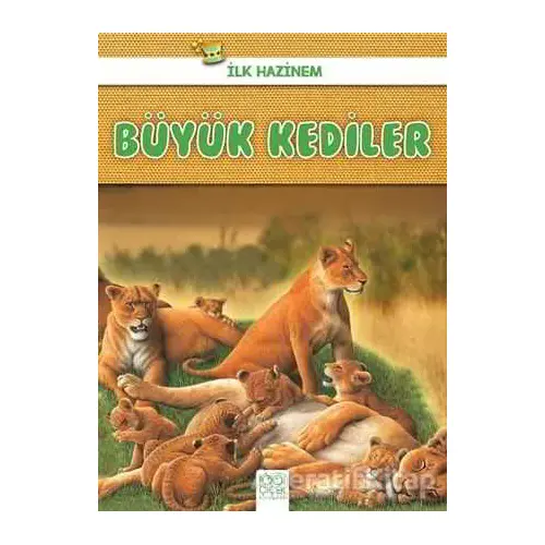 Büyük Kediler - İlk Hazinem - Denise Ryan - 1001 Çiçek Kitaplar