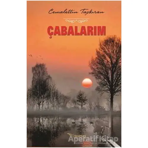 Çabalarım - Cemalettin Taşkıran - Tulpars Yayınevi