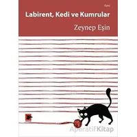 Labirent Kedi ve Kumrular - Zeynep Eşin - Alakarga Sanat Yayınları