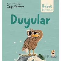 Hikayeli İlk Kavramlarım - Duyular - Çağrı Odabaşı - Sincap Kitap