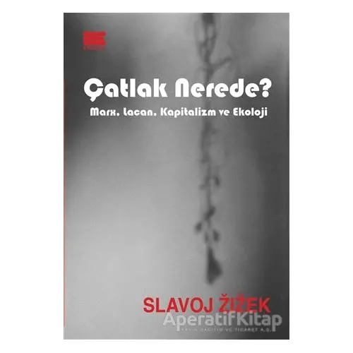 Çatlak Nerede? - Slavoj Zizek - Encore Yayınları