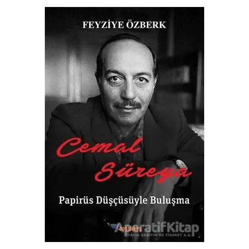 Cemal Süreya: Papirüs Düşçüsüyle Buluşma - Feyziye Özberk - Boyalıkuş Yayınları