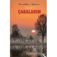 Çabalarım - Cemalettin Taşkıran - Tulpars Yayınevi