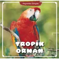 Tropik Orman - Hayvanlar Dünyası - Kolektif - Yumurcak Yayınları