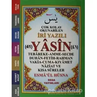 Çok Kolay Okunabilen İri Yazılı 41 Yasin (Çanto Boy, Kod: 165) - Kolektif - Seda Yayınları